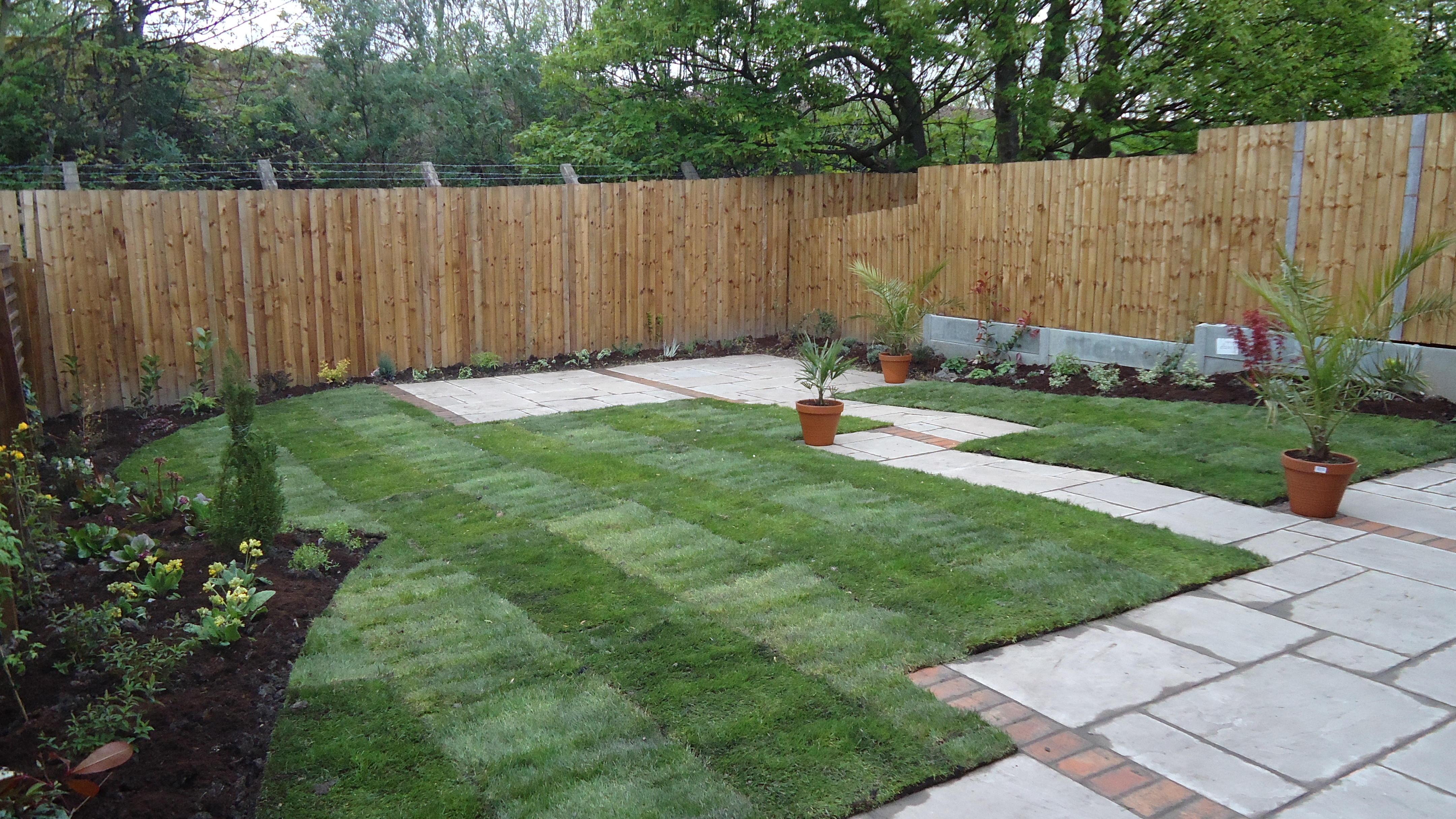 New Build To Lovely Outdoor Space David Bishop Garden Design new-build-to-lovely-outdoor-space-david-bishop-garden-design